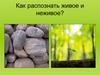 Как распознать живое и неживое