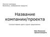 Шаблон. Название компании/проекта