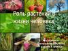 Роль растений в жизни человека