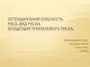 Потенциальная опасность. Риск, вид риска. Концепция приемлемого риска