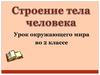 Строение тела человека (2 класс)