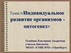 Индивидуальное развитие организмов - онтогенез