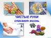 Чистые руки спасают жизнь