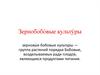 Растениеводство. Зернобобо́вые культу́ры
