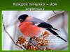 Каждой пичужке – моя кормушка. 8 класс