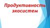 Продуктивность экосистем