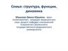 Семья: структура, функции, динамика
