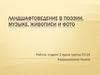 Ландшафтоведение в поэзии, музыке, живописи и фото