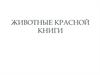 Животные Красной книги