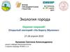 Экология города