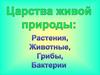 Царства живой природы