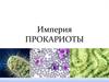 Империя Прокариоты
