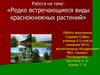 Редко встречающиеся виды краснокнижных растений