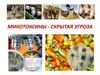 Микотоксины в ветеринарной микологии. Выявление и профилактика группы заболеваний под названием микотоксикозы
