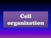 Cell organization