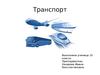 Транспорт. Виды транспорта
