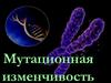 Мутационная изменчивость