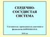 Сердечно-сосудистая система
