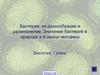 Бактерии, их разнообразие и размножение. Значение бактерий в природе и в жизни человека, 7 класс