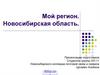 Новосибирская область