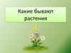 Какие бывают растения