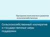 Сельскохозяйственный кооператив и государственные меры поддержки