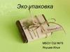 Эко упаковка