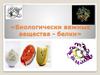 Биологически важные вещества - белки