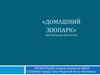«Домашний зоопарк» виртуальная экскурсия