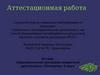 Аттестационная работа. Образовательная программа внеурочной деятельности «Почемучка» 4 класс