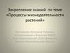 Процессы жизнедеятельности растений