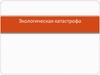 Экологическая катастрофа