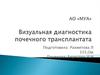 Визуальная диагностика почечного трансплантата