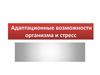 Адаптационные возможности организма и стресс