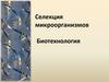 Селекция микроорганизмов. Биотехнология