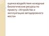 Оценка воздействия на водные биологические ресурсы при производстве работ по устройству и эксплуатации автодорожного моста