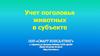 Учет поголовья животных в субъекте