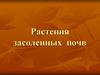 Растения засоленных почв