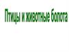 Птицы и животные болота