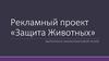 Защита Животных. Рекламный проект