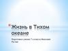 Жизнь в Тихом океане