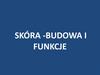 Skóra - budowa i funkcje