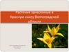 Растения занесенные в Красную книгу Волгоградской области