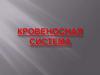 Кровеносная система человека