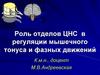 Роль отделов ЦНС в регуляции мышечного тонуса и фазных движений
