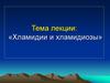 Хламидии и хламидиозы
