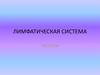 Лимфатическая система