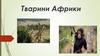 Тварини Африки