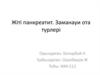 Жіті панкреатит. Заманауи ота түрлері
