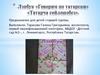 Лэпбук «Говорим по татарски». «Татарча сөйләшәбез»